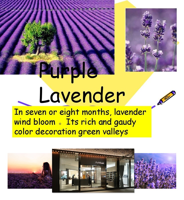 purplelavender沛得官網